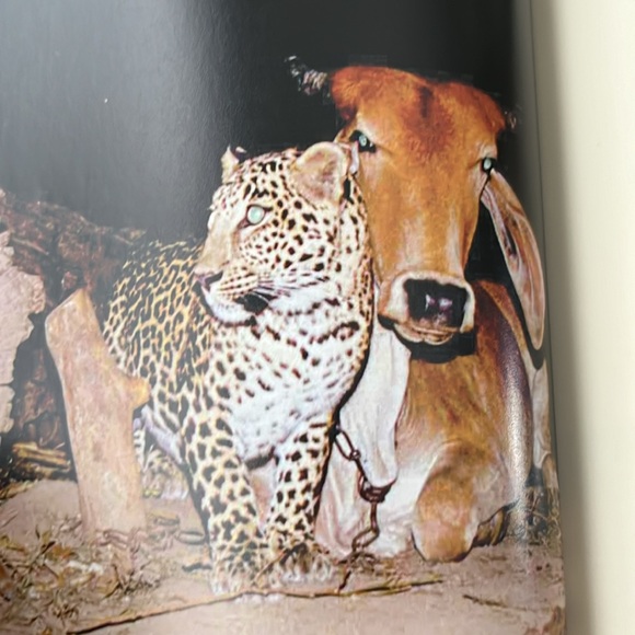 Two Heartwarming Books Humble & Kind and Unlikely Friendships Both EXC! - Picture 13 of 16